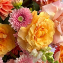 Crochat Discord server icon