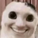 Friends 2: Bratolândia Discord server icon