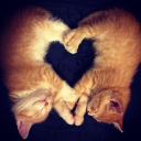 Kapiis Dungeon Discord server icon