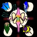 Starry beasts