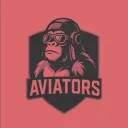 Aviators | Competitive Team