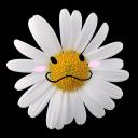 pocket of posies