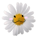 pocket of posies Discord server icon