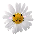 pocket of posies
