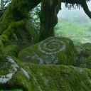 ⋆˚꩜｡⊹ ࣪ ˖Plural Planet˖ ࣪ ⊹｡꩜˚⋆ Discord server icon