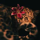 𝓛𝓾𝔁𝓮 𝓓𝓮𝓷 🐆 | REVAMPING & BOOST PLS!!
