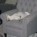 Reks93's server Discord server icon