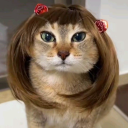 halalhoodfails2026 Discord server icon