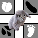 👣 Empire of Feetborea ⚔ [LAND OF THE CABBITS] Discord server icon