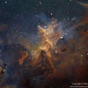 The Nobles Discord server icon