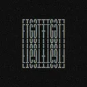 ##FTG