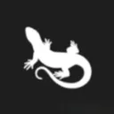 Official Lizard Point Communications