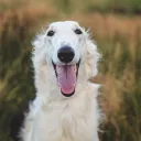 Evil Corner Discord Server Icon