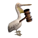 Pelican Appeals