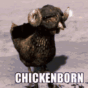 𝐂𝐇𝐈𝐂𝐊𝐄𝐍𝐁𝐎𝐑𝐍 (18+) Discord server icon