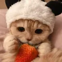 Pixel waslandia Discord server icon