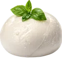 MOZZAGANG