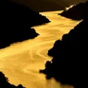 The Golden Spring