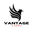 VANTAGE esports