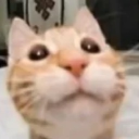 Cath's Basement Discord server icon