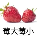 🍓Strawberry Hackers🍓《2》