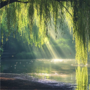 Epic Muses - Fancast Discord server icon