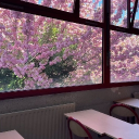 Sakura High Discord server icon