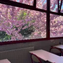 Sakura High