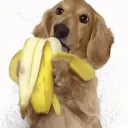 「🍌」Community Gulosos