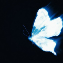 Metamorphosis Discord server icon