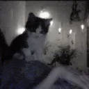 Server icon for ﹒inject