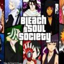☯Soul Society