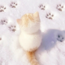 𝐏𝐀𝐖𝐒𝐓𝐄𝐋 𝐀𝐑𝐓 𝐂𝐎𝐑𝐍𝐄𝐑 𑄝˚࿔ Discord server icon