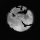 🌑~Ecos Luna~🌙