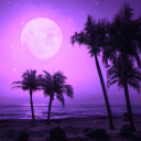 The Isles of Reality Discord server icon