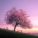 🌸CHILL🌸HANGOUT🌸GROUP🌸♂