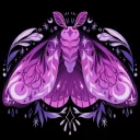 ִ࣪𖤐 MOTH SOCIETY ִ࣪𖤐