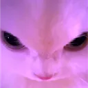 𝐕𝐞𝐫𝐨𝐧𝐢𝐤𝐚'𝐬 𝐂𝐨𝐫𝐧𝐞𝐫 ♡