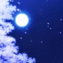 ⋆.˚ ☾⭒.˚ʟᴜɴᴀʀ ʟᴏᴜɴɢᴇ⋆.˚ ☾⭒.˚
