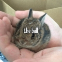 Mind fuckery Discord server icon