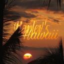 Harley's Hawaii │ ᆞSocial ...