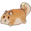 The Barkery