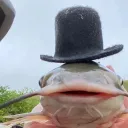 a diddyt ide nem adom