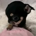 Kitttttt Ashhhh Discord server icon