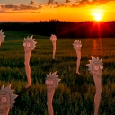 The leg rick paradise