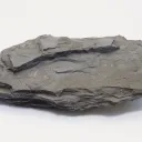 Odesskiy Pekhotniy Polk