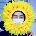 Seoulshine