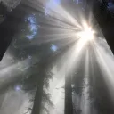 /mist