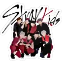♡ Stray Kids Café ♡ server icon