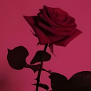 Starlight Haven Discord server icon